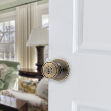 Load image into Gallery viewer, Tulip Entry Knob, AB