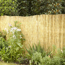 Load image into Gallery viewer, GardenPath Reed Screen Fencing; 4 x 8 ft
